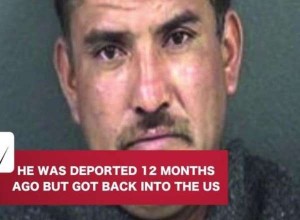 It appears there is a disturbing number of cases in which criminal aliens are released back into American society or re-enter the US after being deported.